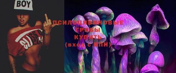метадон Заволжье