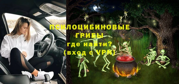 прущие крисы Зеленодольск